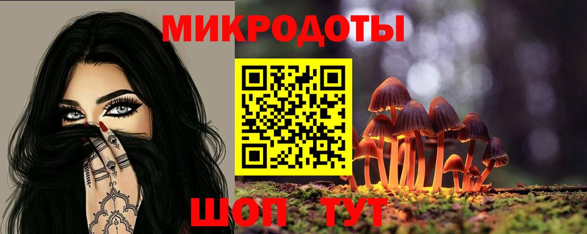 хочу   Вход с VPN  Великие Луки  Псилоцибиновые грибы Cubensis 